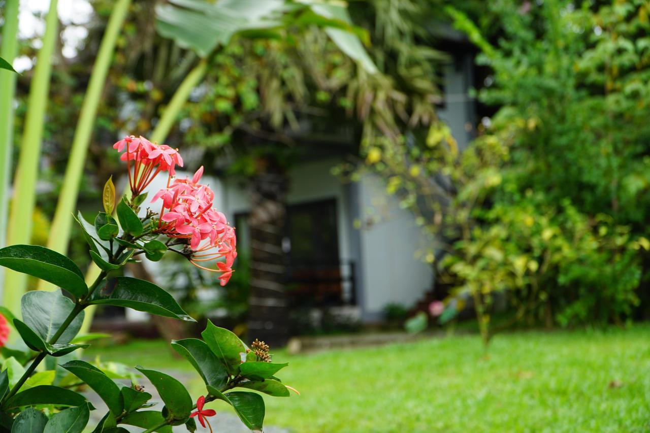Salty River Resort Kampot Kültér fotó